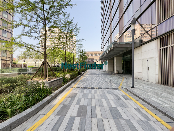 Gemini Grove
